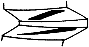 FX݆͜pX݆g(sh)Zӹ݆X|zԇ