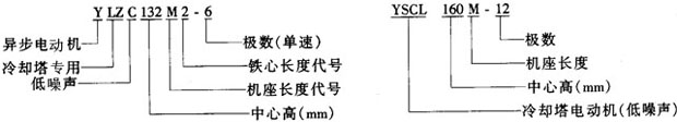 YSCLYLZCϵsõஐ늄әC(j)Y(ji)(gu)鼰c(din)